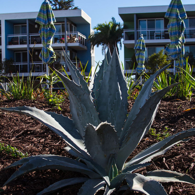 Breakwater at Marina Del Rey